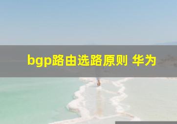 bgp路由选路原则 华为